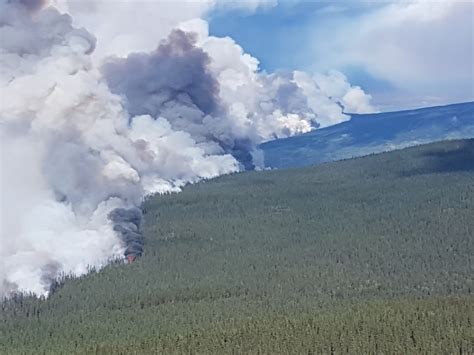 Bc wildfire - A total of 2,115 wildfires burned 1,351,314 hectares (3,339,170 acres) of land in 2018 as of November 9. [9] As of August 28, initial estimates put 2018 as the largest burn-area in a British Columbia wildfire season, [1] surpassing the historic 2017 wildfire season (1,216,053 total hectares). [10] The total land burned in 2018 represented about ...